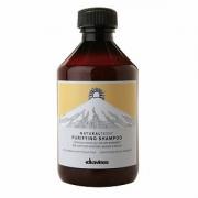 Davines(特芬莉) 達芬尼斯 純淨抗屑洗髮露 250ml (頭皮淨化精油洗...