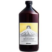 Davines(特芬莉)  達芬尼斯 純淨抗屑洗髮露 1000ml (頭皮淨化精...