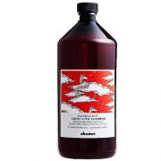 Davines(特芬莉) 達芬尼斯 能量豐茂洗髮露 1000ml  (賦活精油洗...