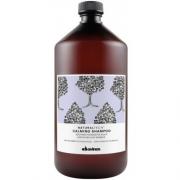 Davines( 特芬莉) 達芬尼斯 康敏舒緩洗髮露 1000ml