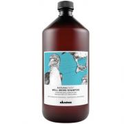 Davines(特芬莉)  達芬尼斯 樂活紫菊洗髮露 1000ml