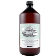 Davines(特芬莉)  達芬尼斯 深層淨化洗髮露 1000ml  (原活化精油洗髮乳)