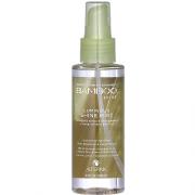 歐娜國際 Alterna  BAMBOO 炫色極光噴霧 100ml