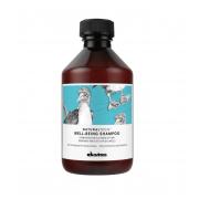 Davines(特芬莉) 達芬尼斯 樂活紫菊洗髮露 250ml