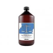 DAVINES 達芬尼斯 平衡控油洗髮露 1000ml (控皮脂精油洗髮露)