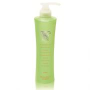 ARGAN INFLUX Monaco Hair Shampoo 摩納哥豐澤煥采洗髮精 500ml