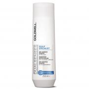 GOLDWELL 歌薇 輕感去屑洗髮精 250ml (禦髮洗髮精)