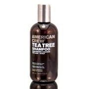 凱蔚 American Crew 茶樹洗髮精 250ml