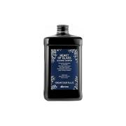 Davines( 特芬莉) 達芬尼斯 海洋之心霧光髮膜 1000ml